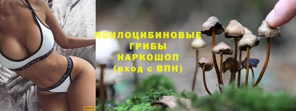 кокс Алексеевка