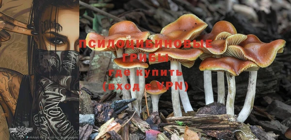 героин Алзамай