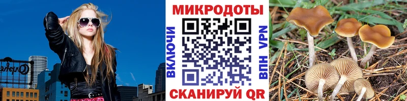 Галлюциногенные грибы мухоморы  купить наркотик  Красногорск 