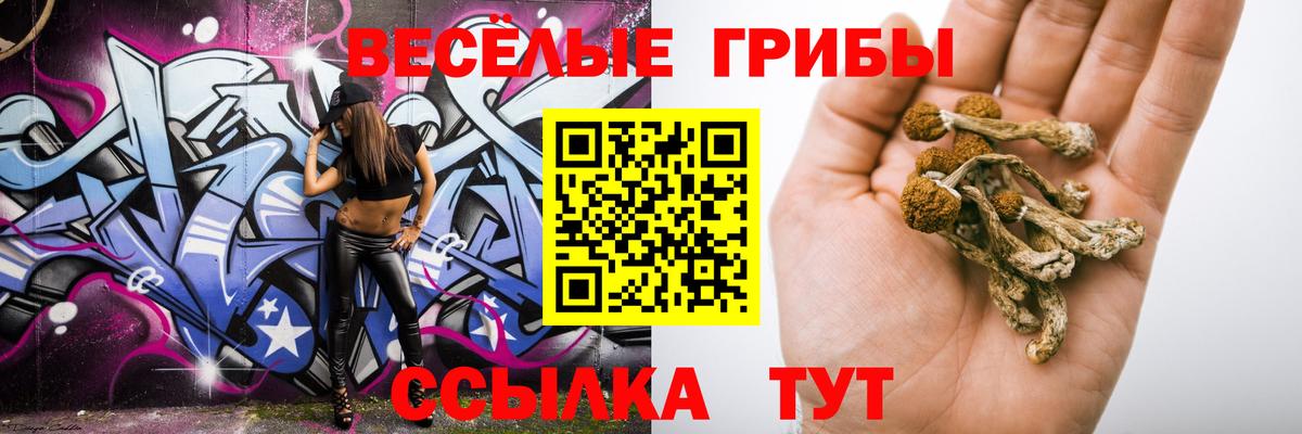 Псилоцибиновые грибы прущие грибы  Псилоцибиновые грибы GOLDEN TEACHER  Красногорск  Вход с VPN 